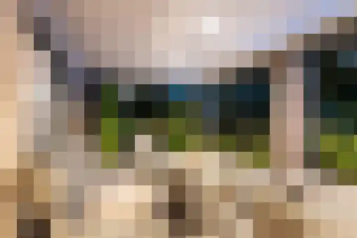 Rozemarijn 36 Gendringen thumbnail 73