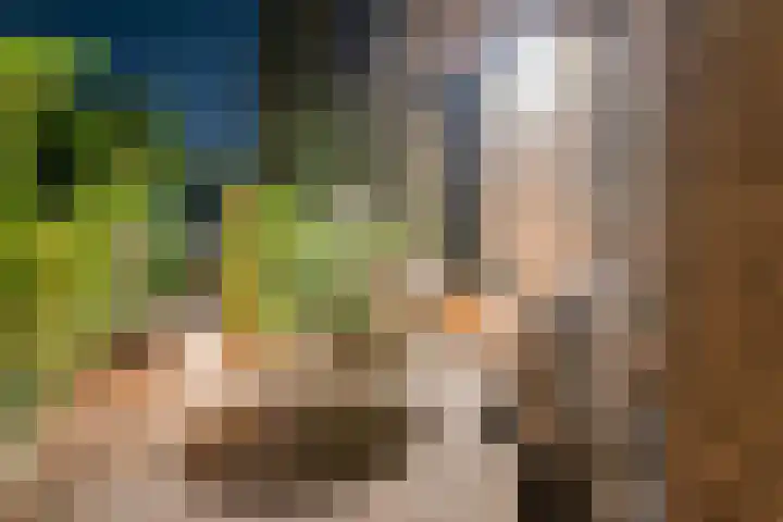Rozemarijn 36 Gendringen thumbnail 74