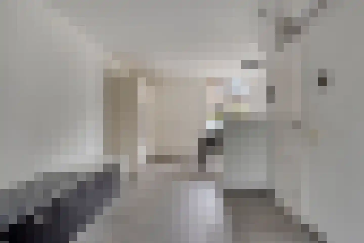 Rozemarijn 4 Venray thumbnail 14