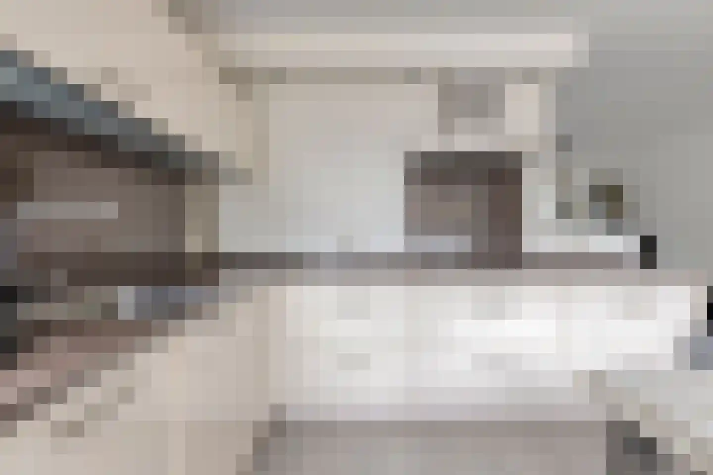 Rozemarijn 4 Venray thumbnail 17