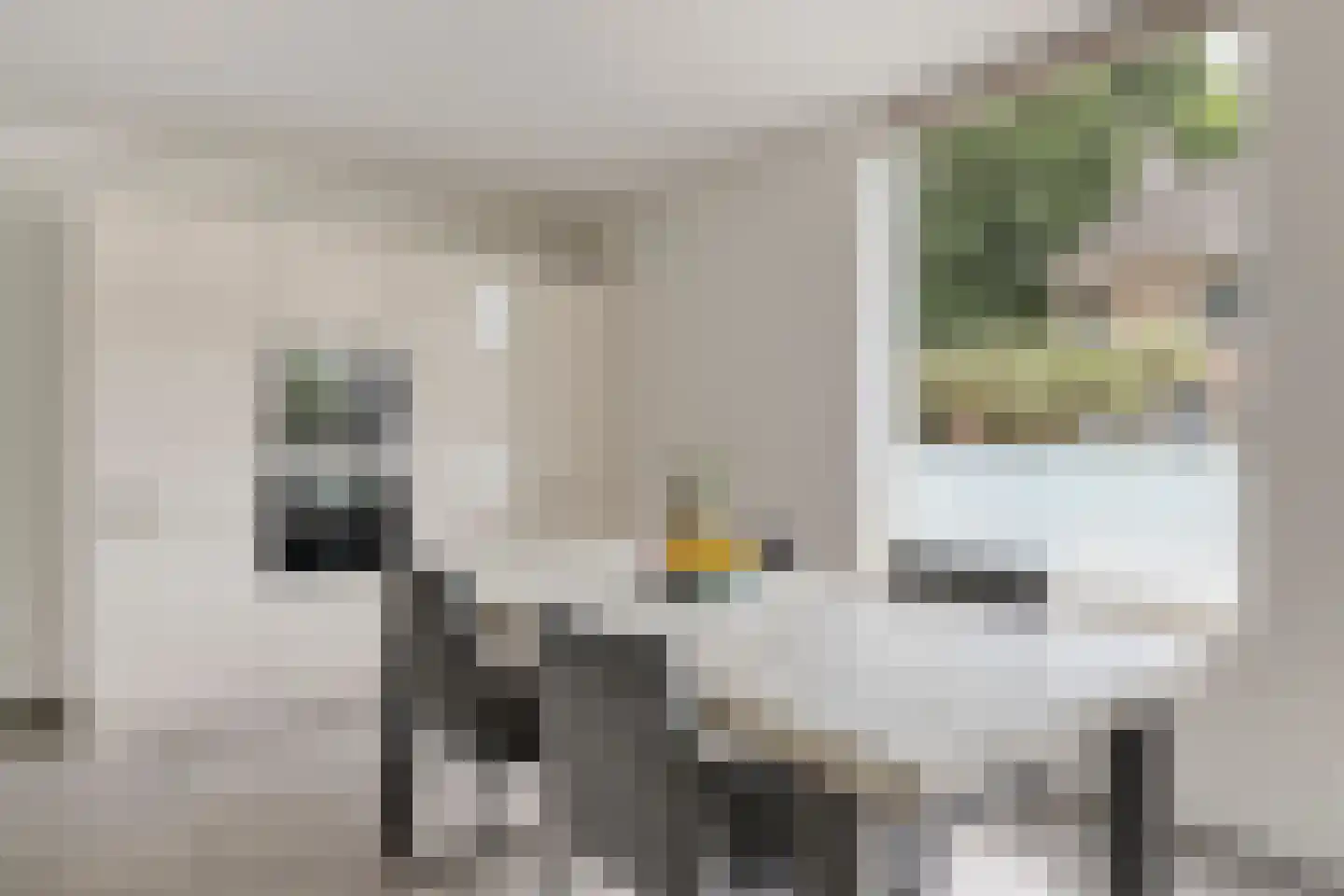 Rozemarijn 4 Venray thumbnail 18