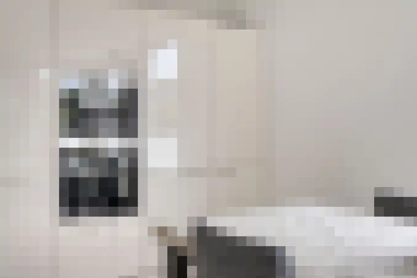 Rozemarijn 4 Venray thumbnail 19
