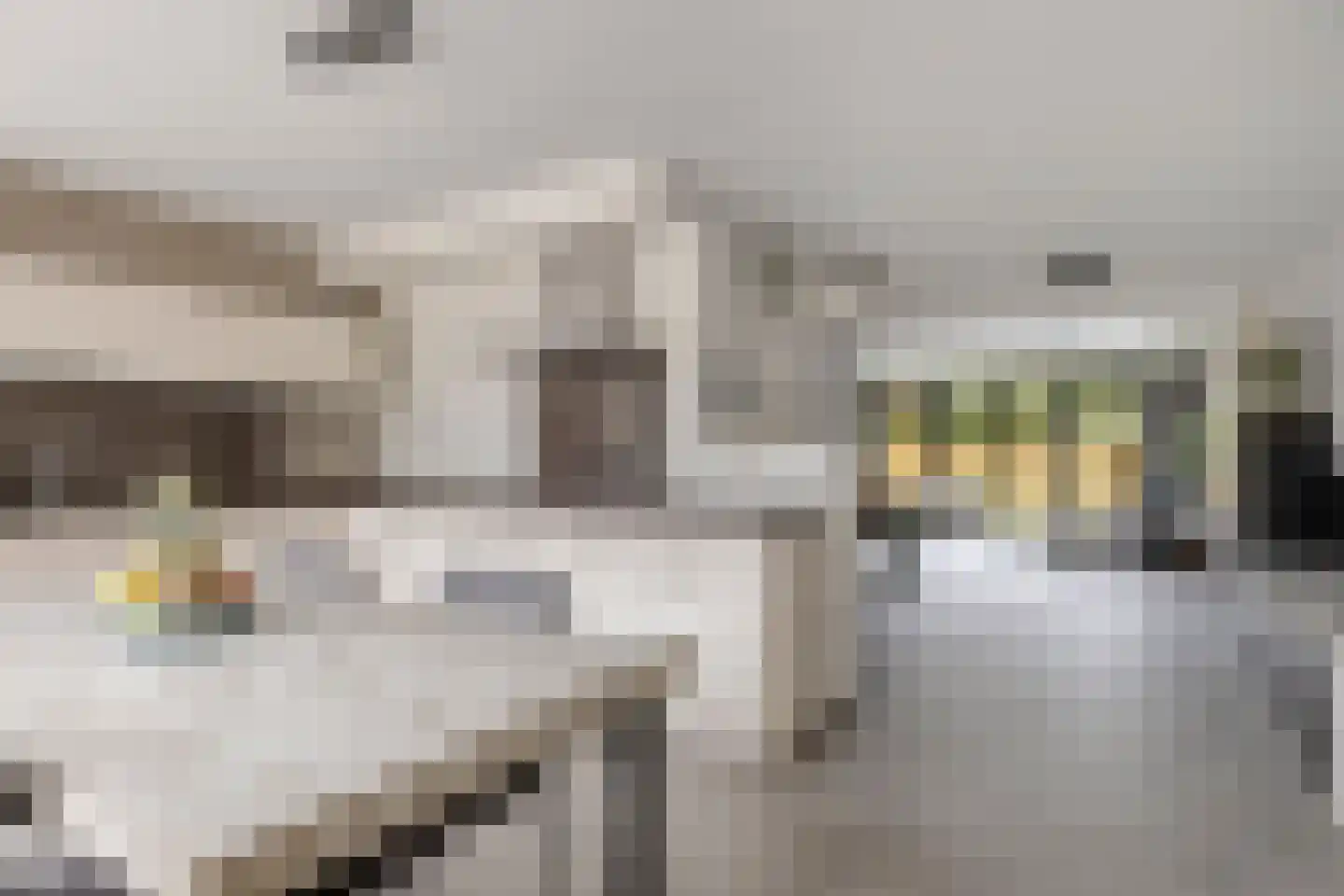 Rozemarijn 4 Venray thumbnail 20