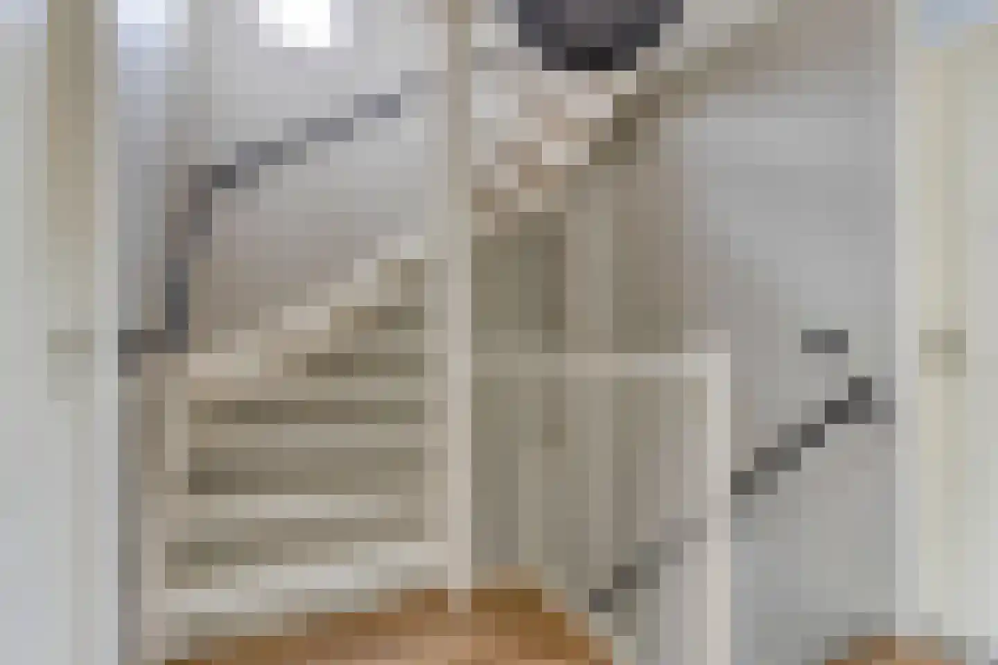 Rozemarijn 4 Venray thumbnail 24