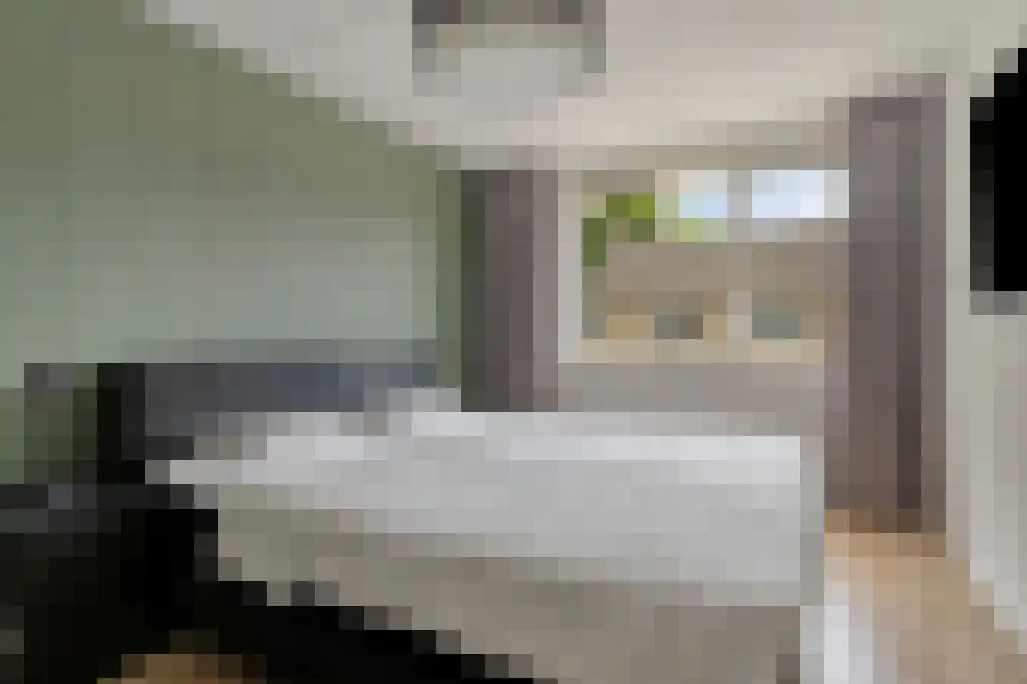 Rozemarijn 4 Venray thumbnail 27