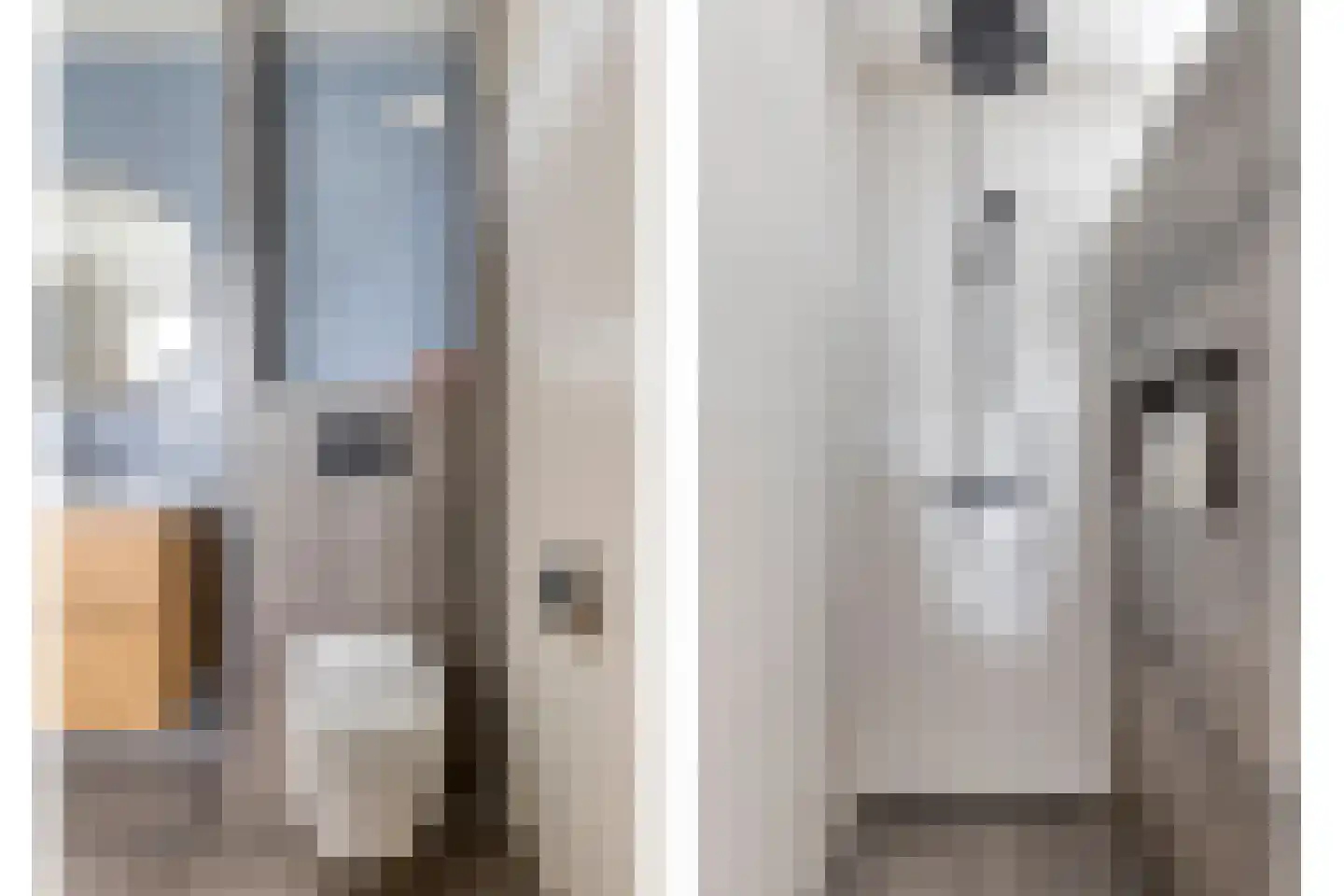 Rozemarijn 4 Venray thumbnail 30