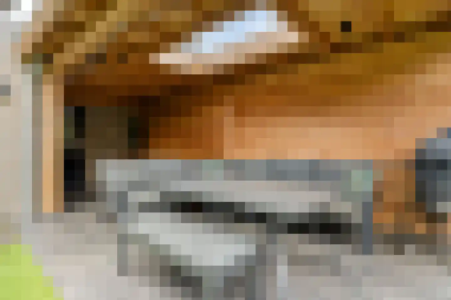 Rozemarijn 4 Venray thumbnail 32