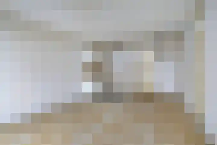 Rozemarijn 42 Oisterwijk thumbnail 5