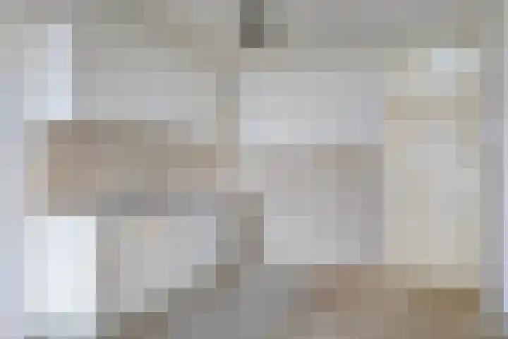 Rozemarijn 42 Oisterwijk thumbnail 6
