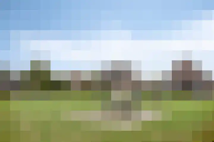 Rozemarijn 44 Oost West en Middelbeers thumbnail 35