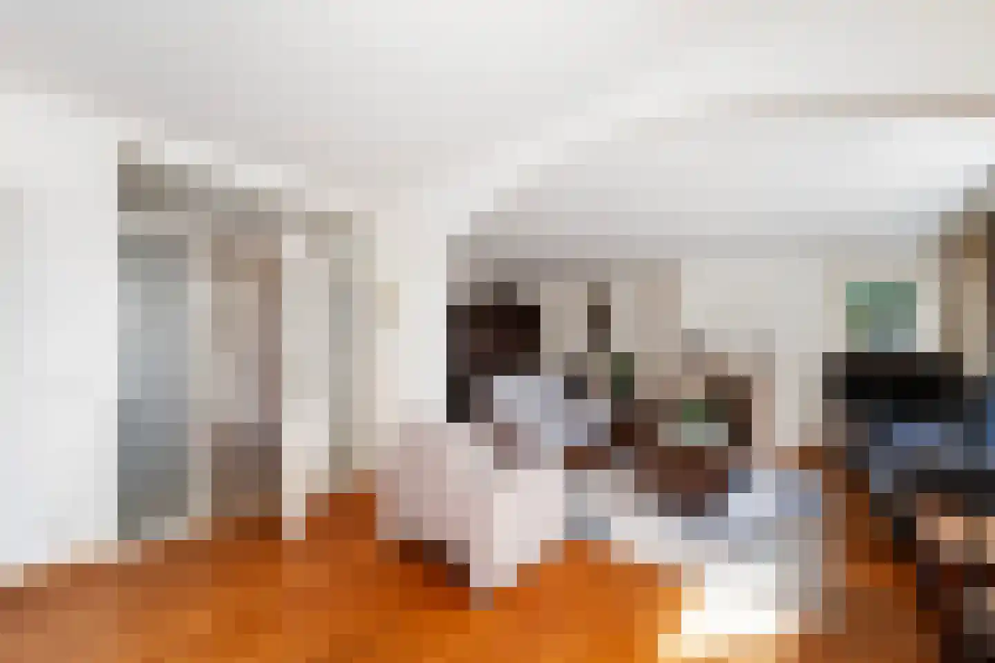 Rozemarijn 8 Wateringen thumbnail 11