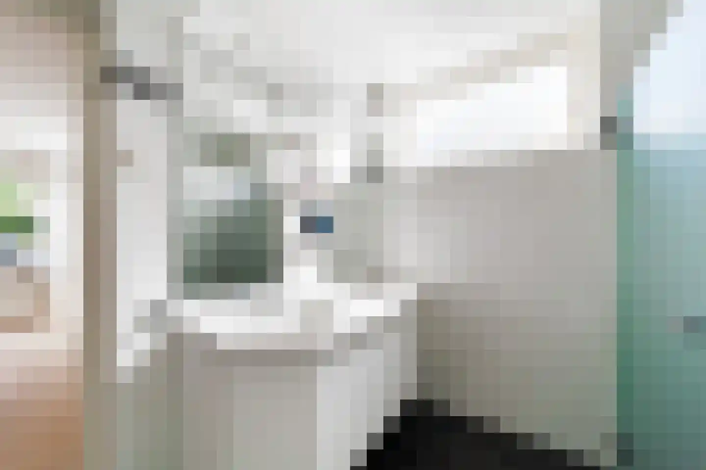 Rozemarijn 8 Wateringen thumbnail 26