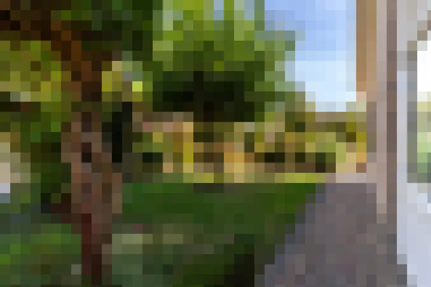 Rozemarijn 8 Wateringen thumbnail 46