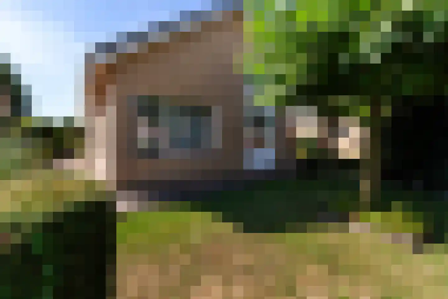 Rozemarijn 8 Wateringen thumbnail 47