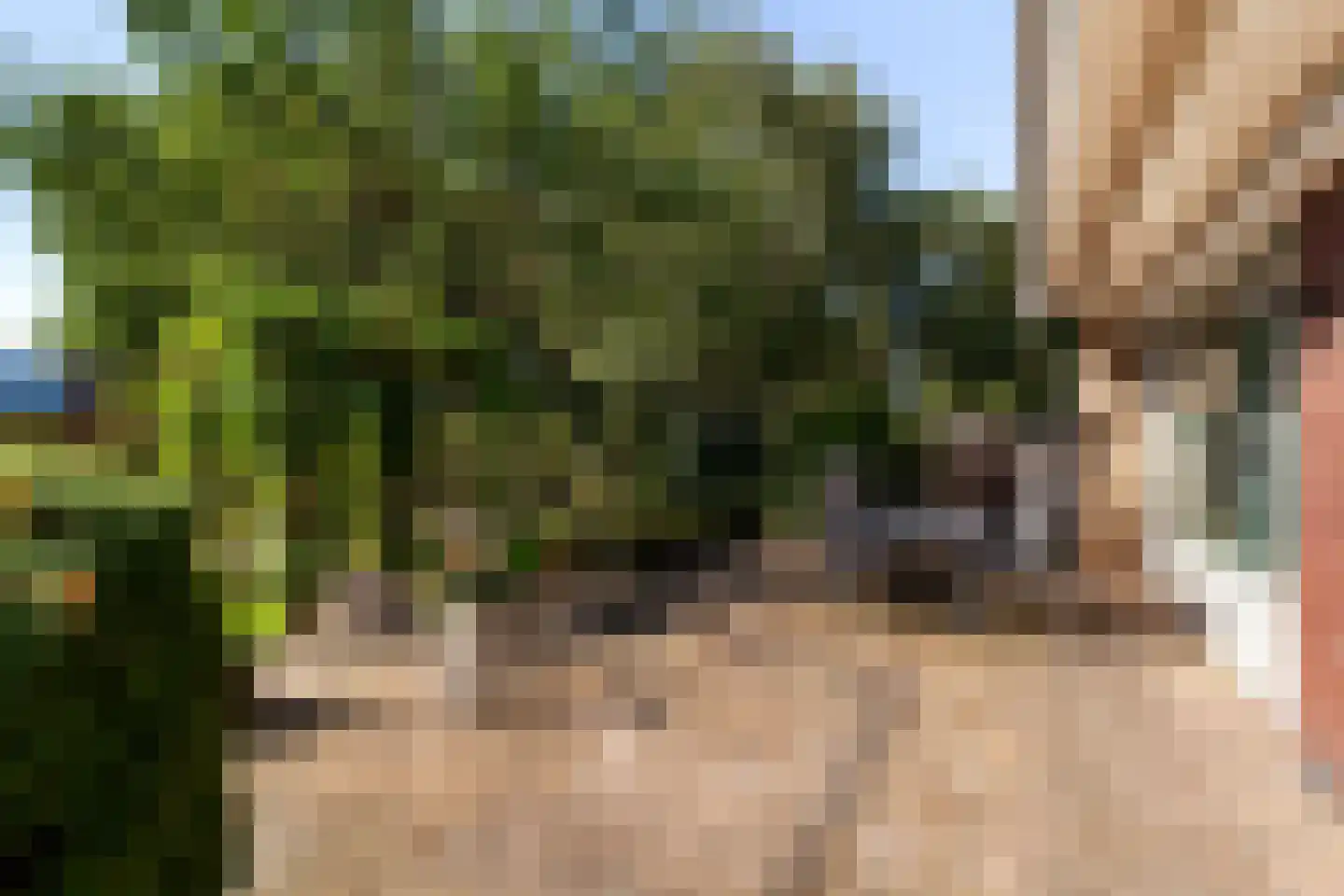 Rozemarijn 8 Wateringen thumbnail 48