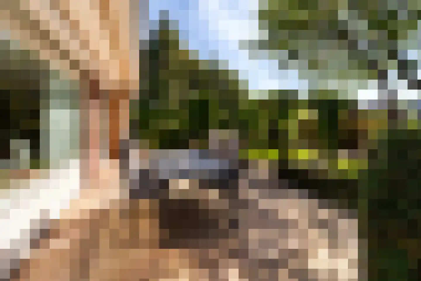 Rozemarijn 8 Wateringen thumbnail 49