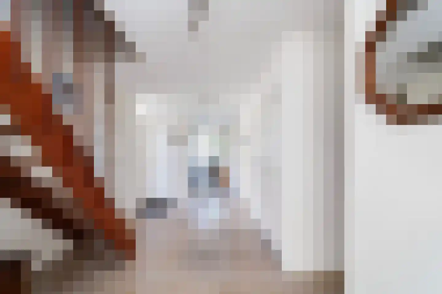 Rozemarijn 8 Wateringen thumbnail 5