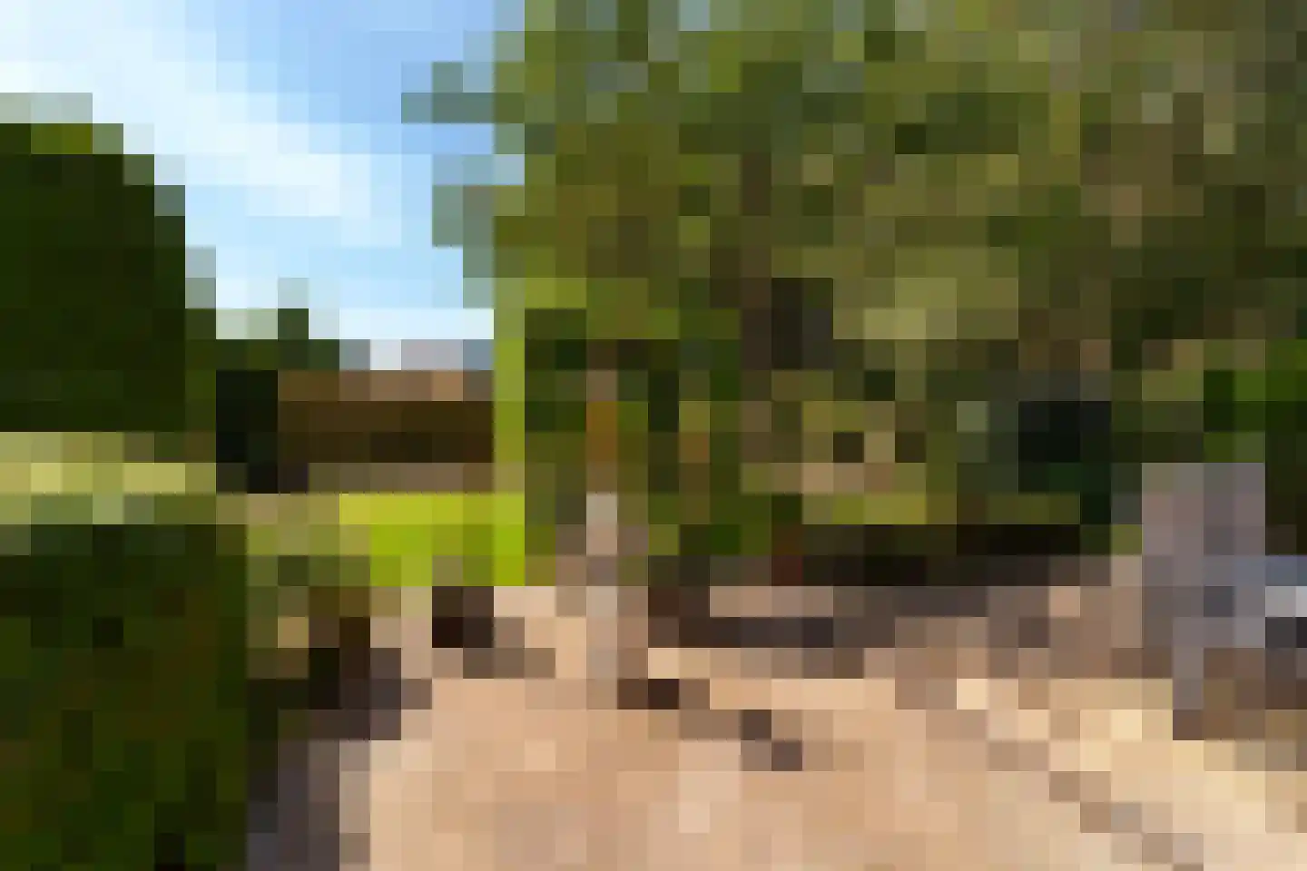 Rozemarijn 8 Wateringen thumbnail 50