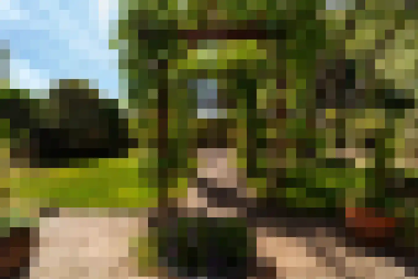 Rozemarijn 8 Wateringen thumbnail 51