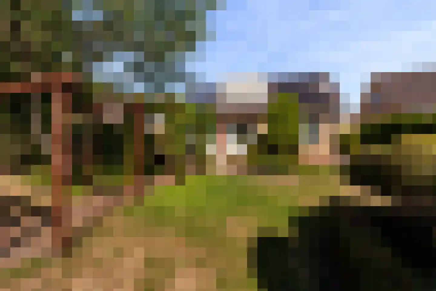Rozemarijn 8 Wateringen thumbnail 52