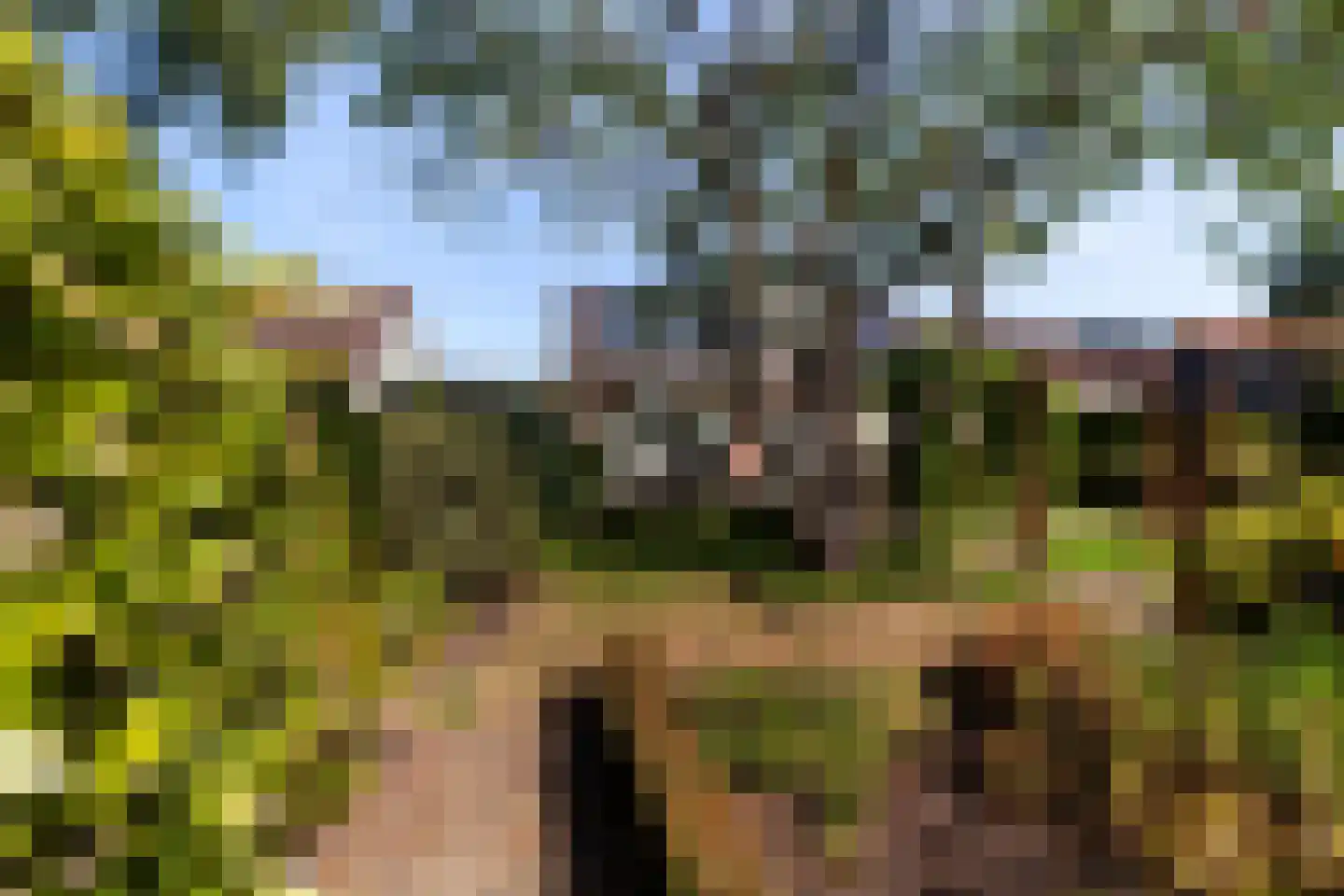 Rozemarijn 8 Wateringen thumbnail 53