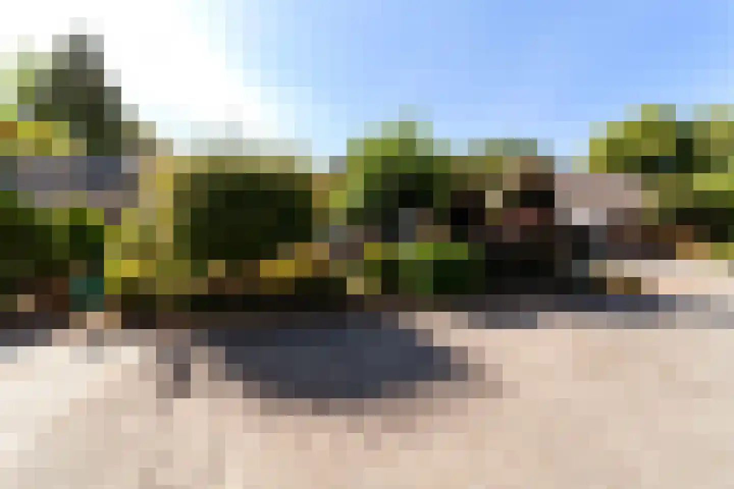 Rozemarijn 8 Wateringen thumbnail 55