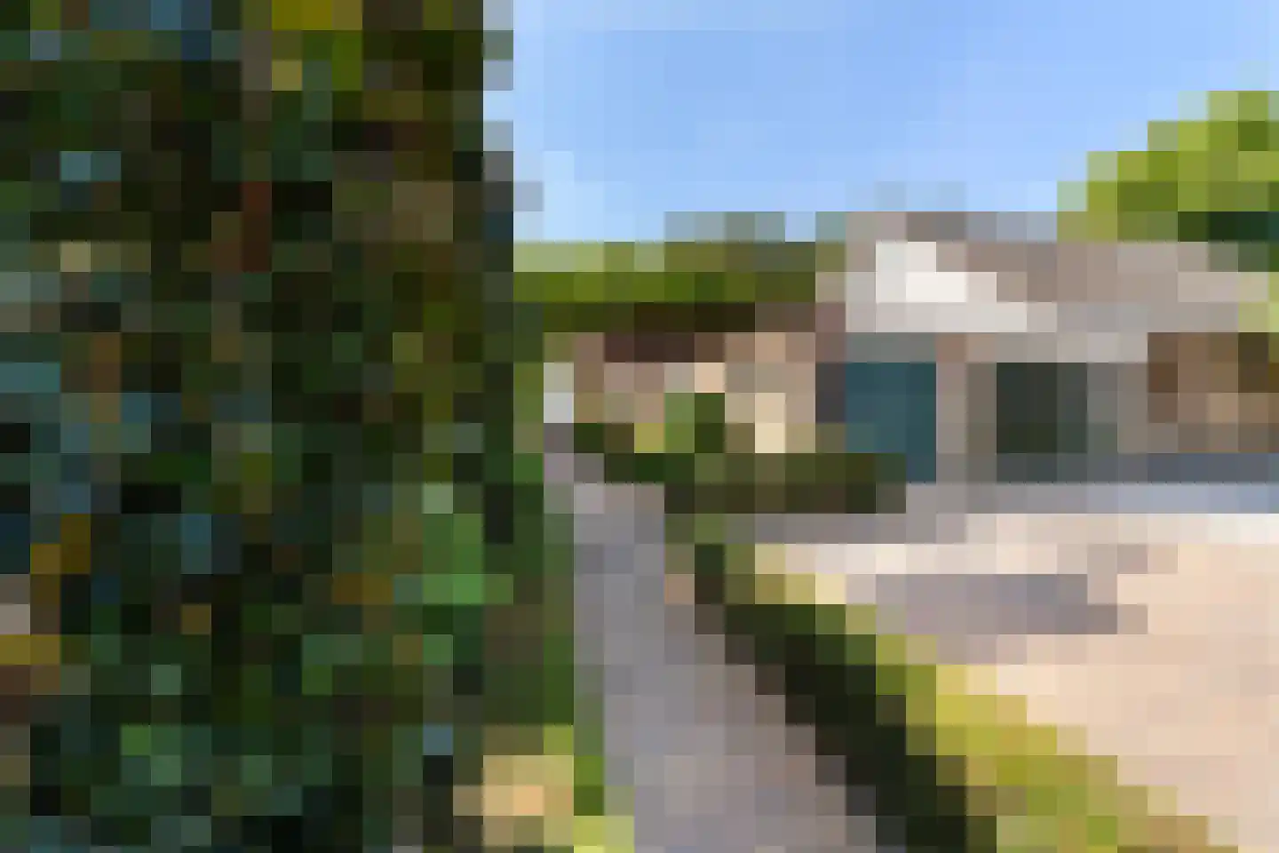 Rozemarijn 8 Wateringen thumbnail 56