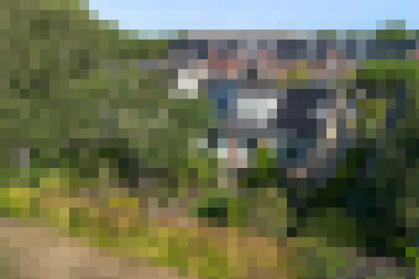 Rozemarijn 8 Wateringen thumbnail 58