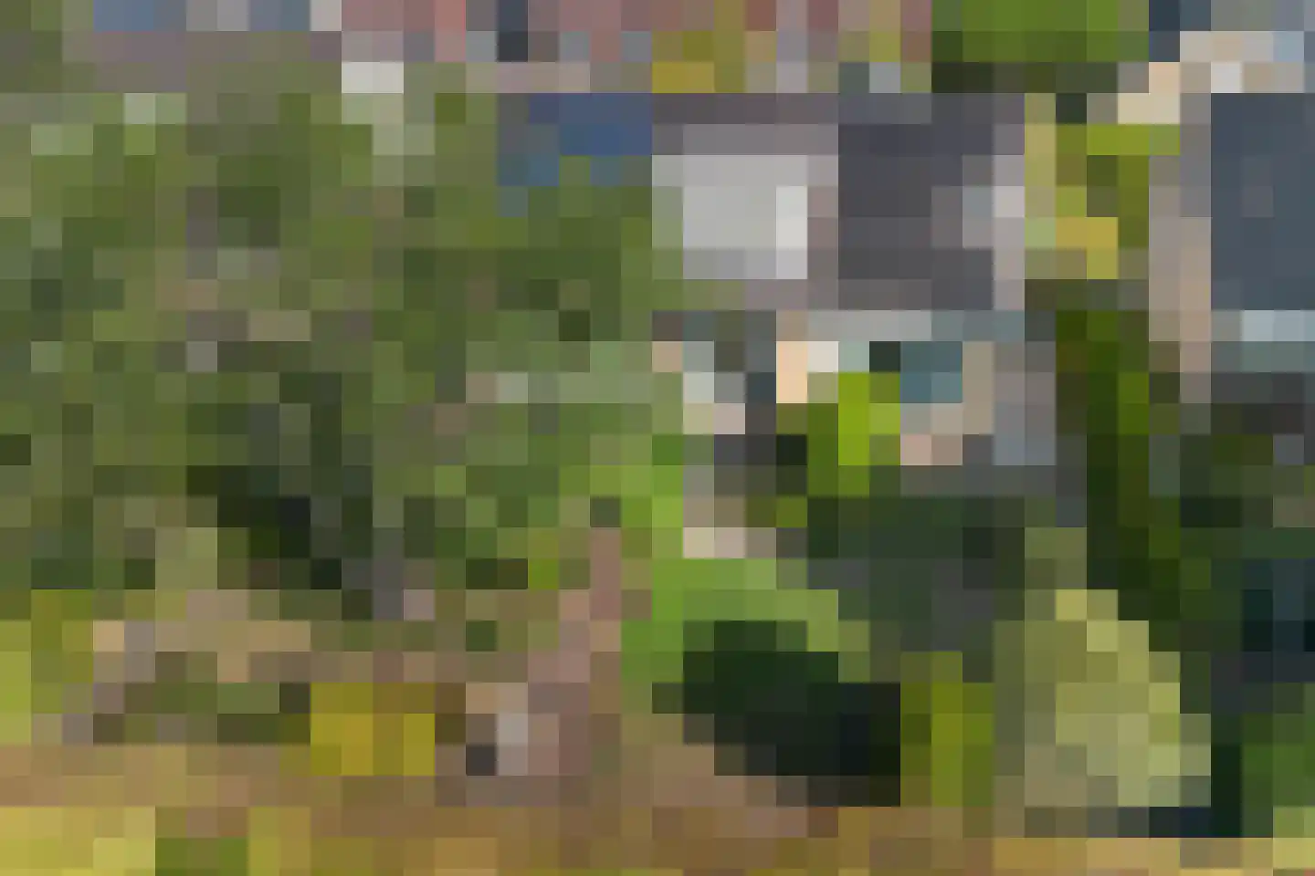 Rozemarijn 8 Wateringen thumbnail 59