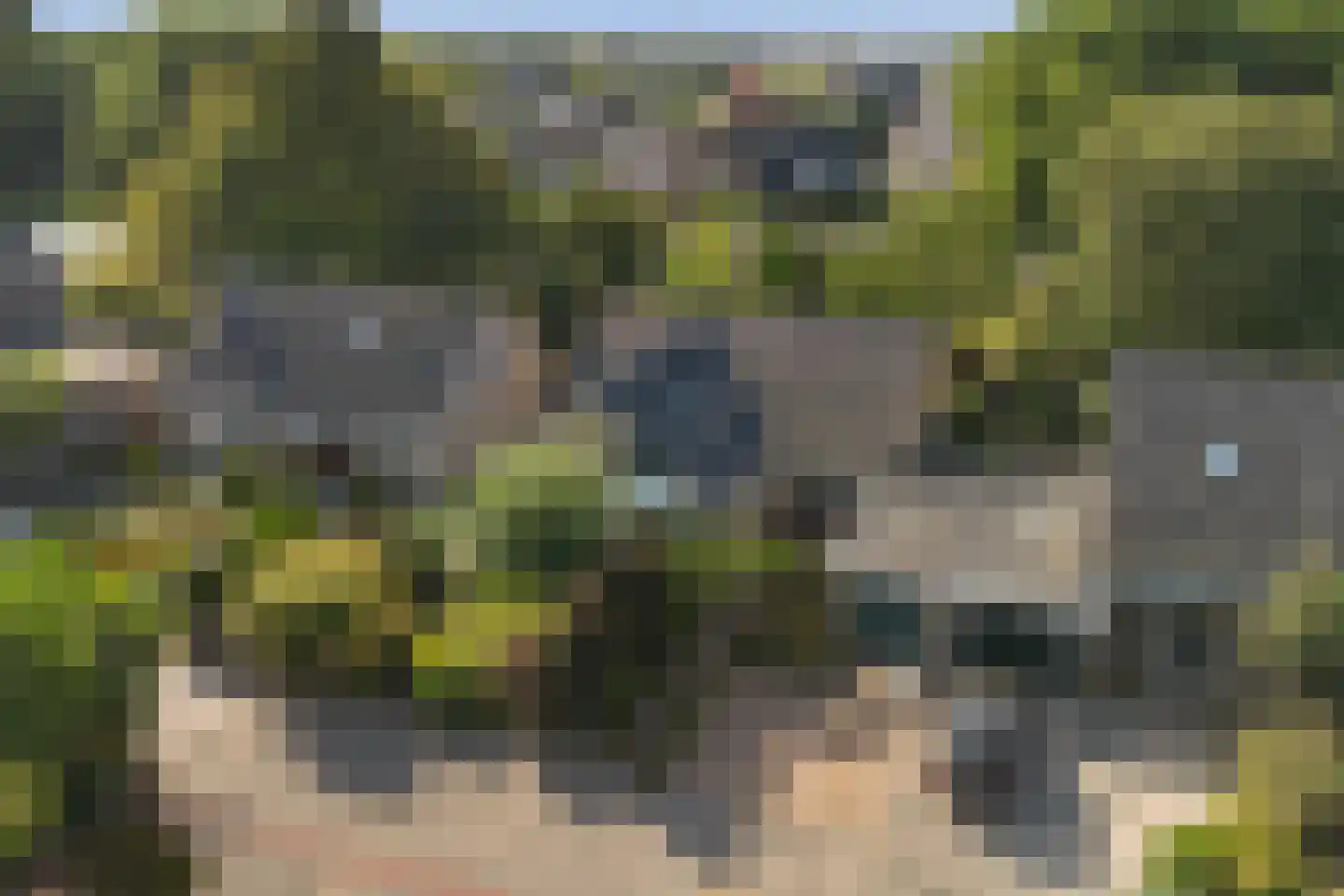 Rozemarijn 8 Wateringen thumbnail 60