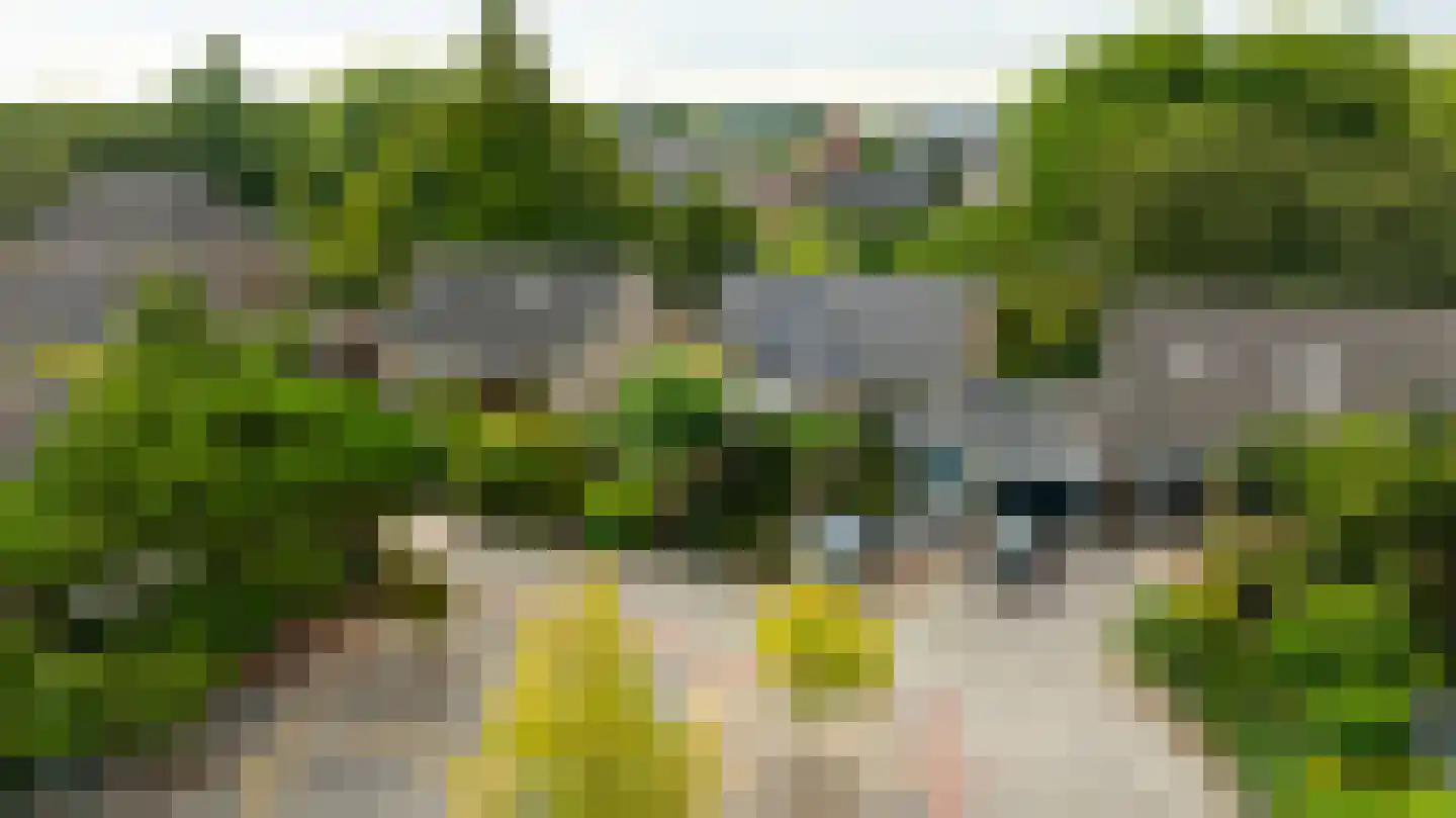 Rozemarijn 8 Wateringen thumbnail 61