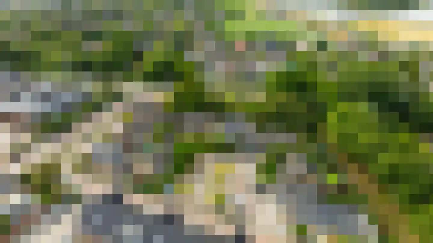 Rozemarijn 8 Wateringen thumbnail 62