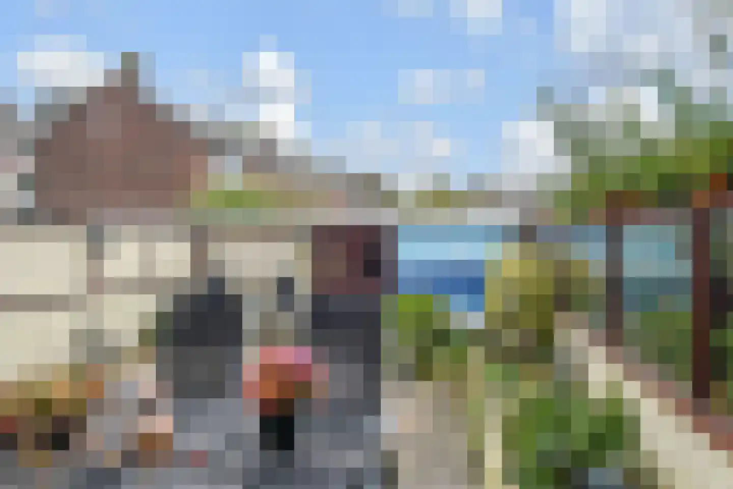 Rozemarijn 81 Wateringen thumbnail 37