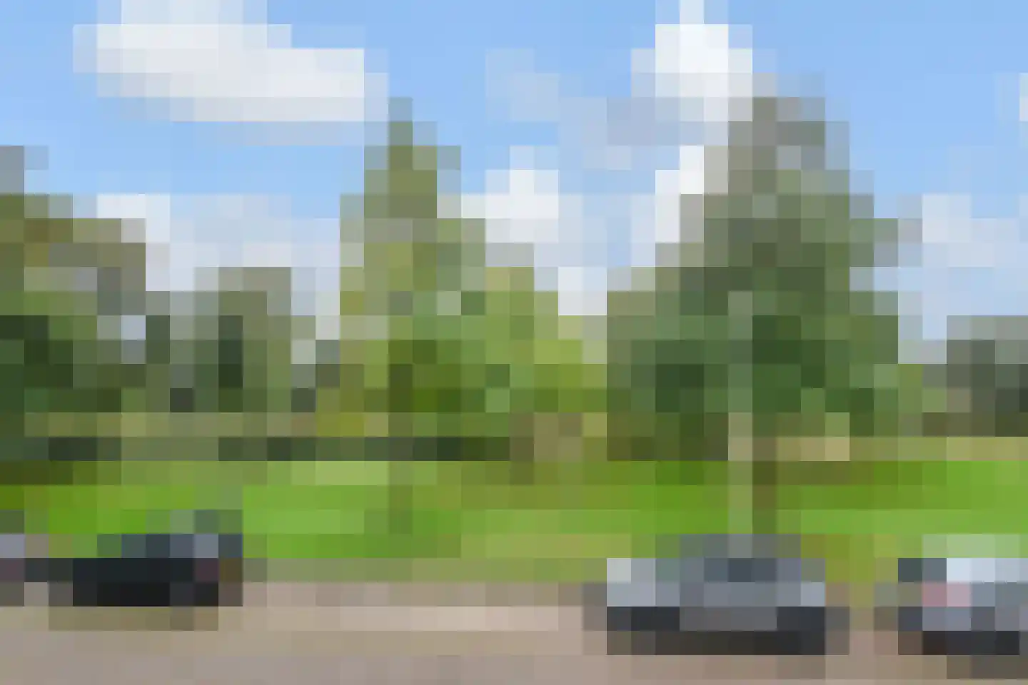 Rozemarijn 81 Wateringen thumbnail 42