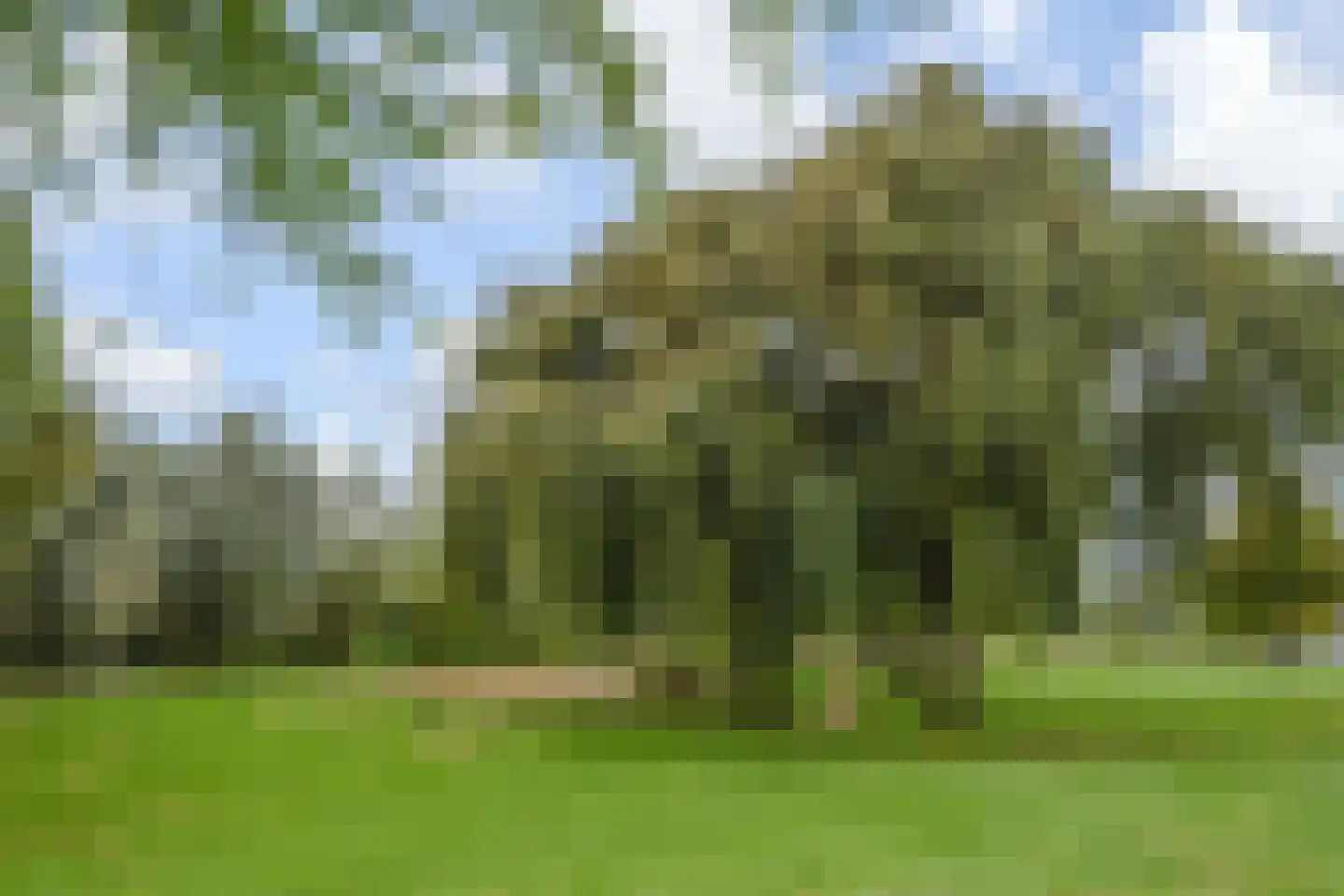 Rozemarijn 81 Wateringen thumbnail 43