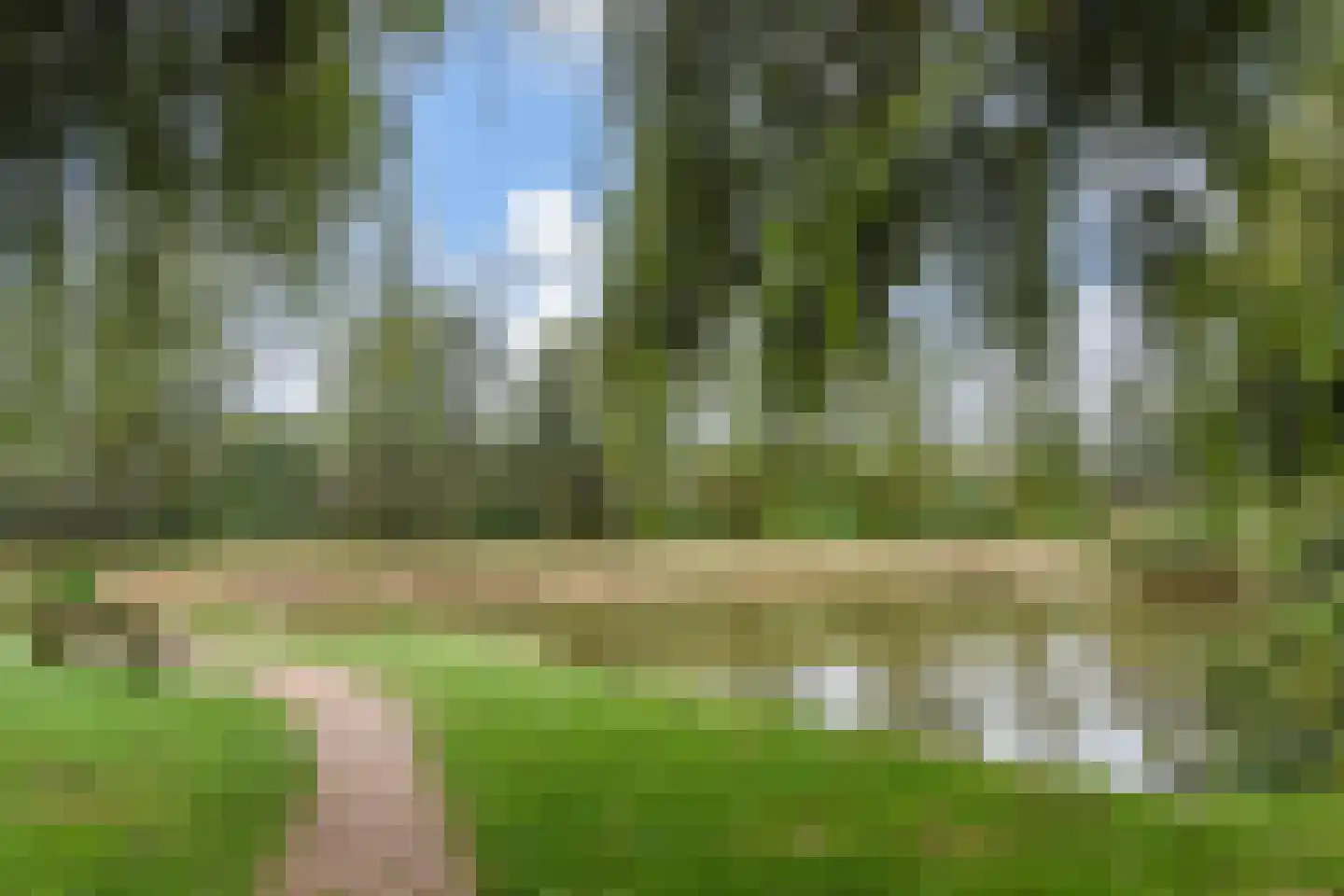 Rozemarijn 81 Wateringen thumbnail 44
