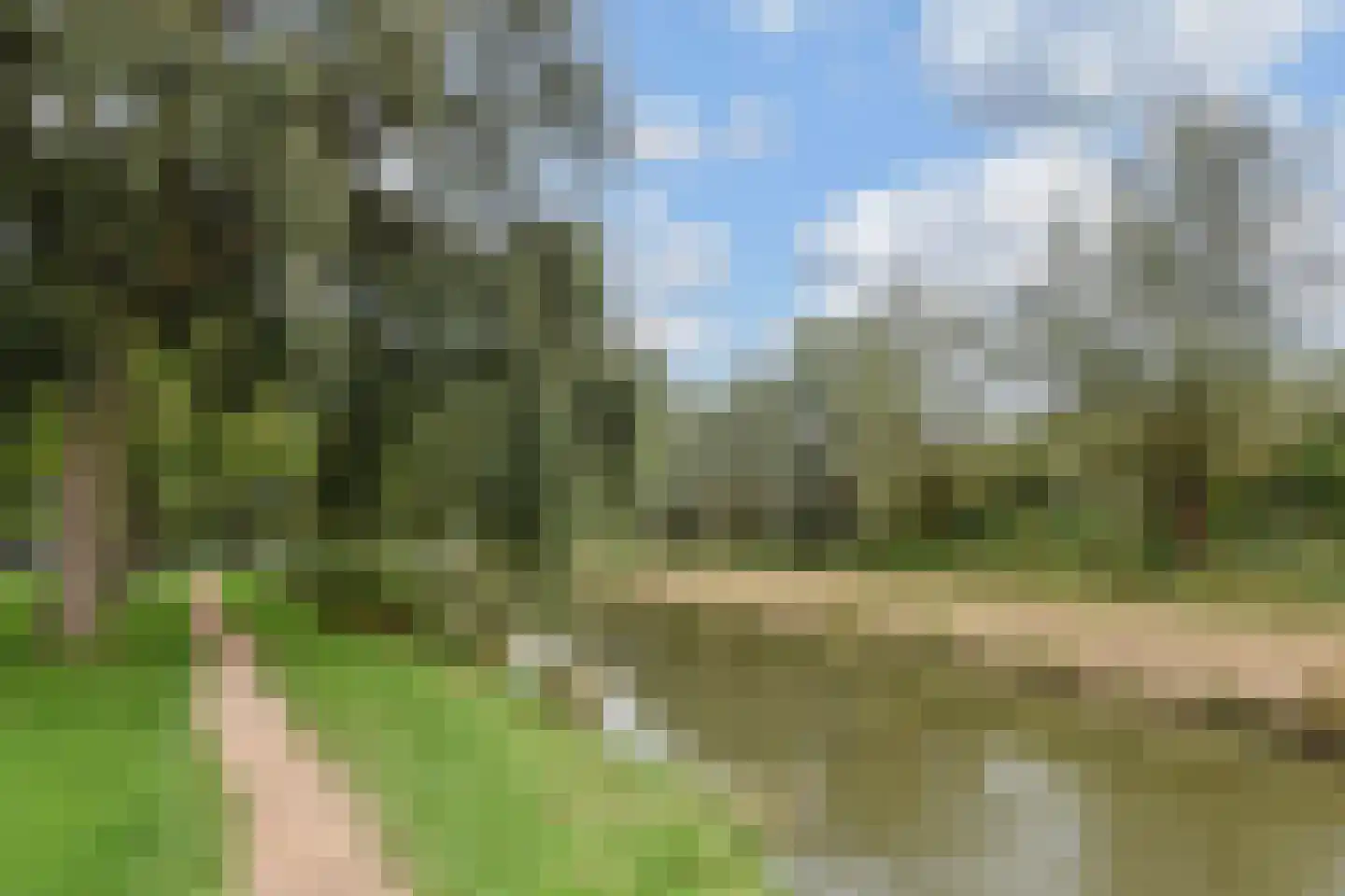 Rozemarijn 81 Wateringen thumbnail 47
