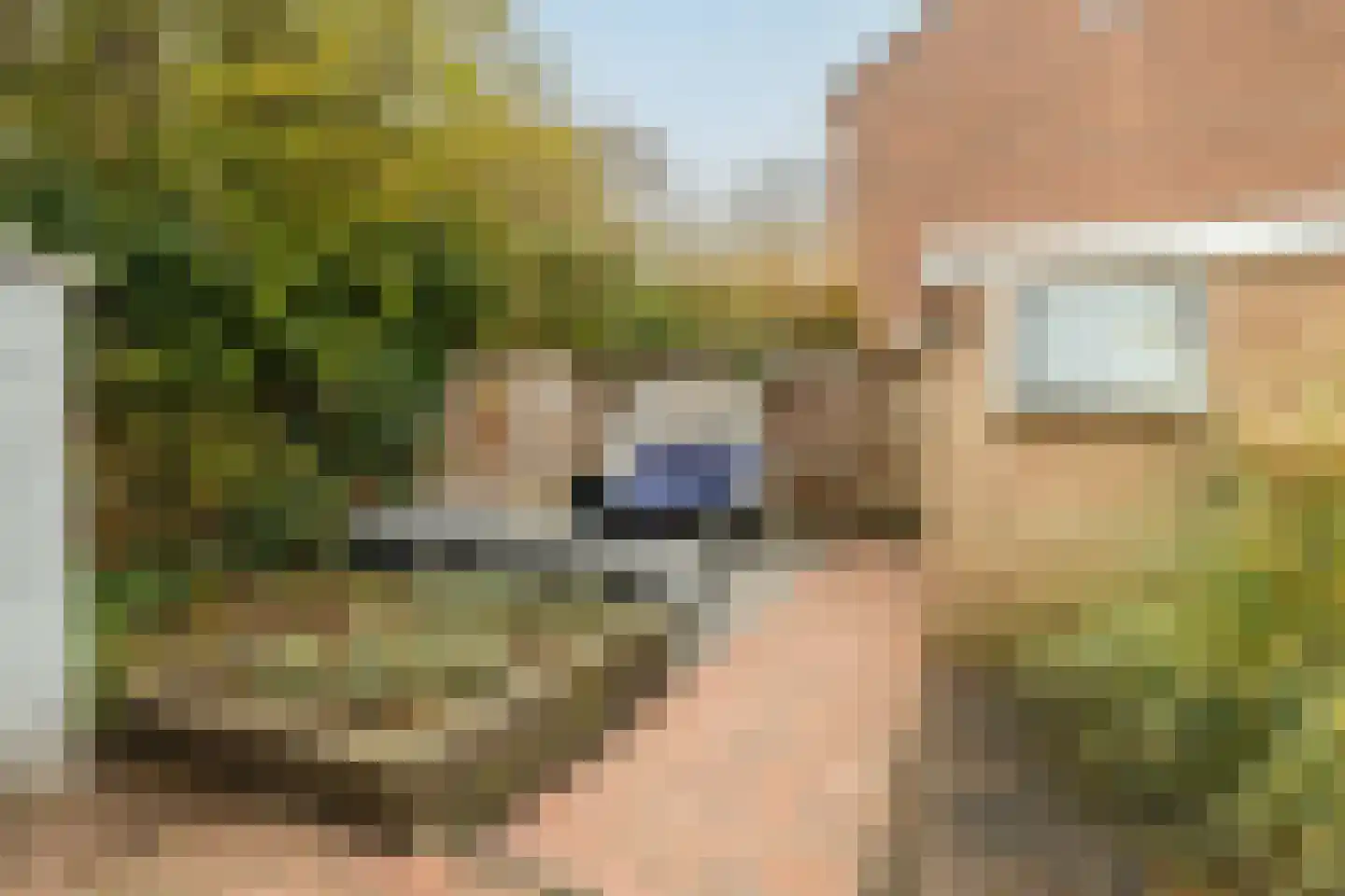 Rozemarijn 85 Wateringen thumbnail 43