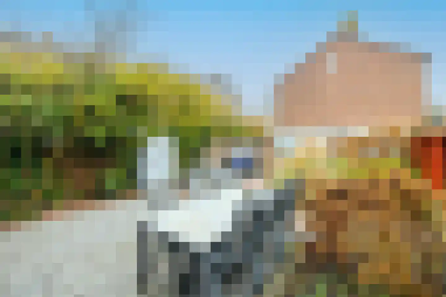 Rozemarijn 85 Wateringen thumbnail 45
