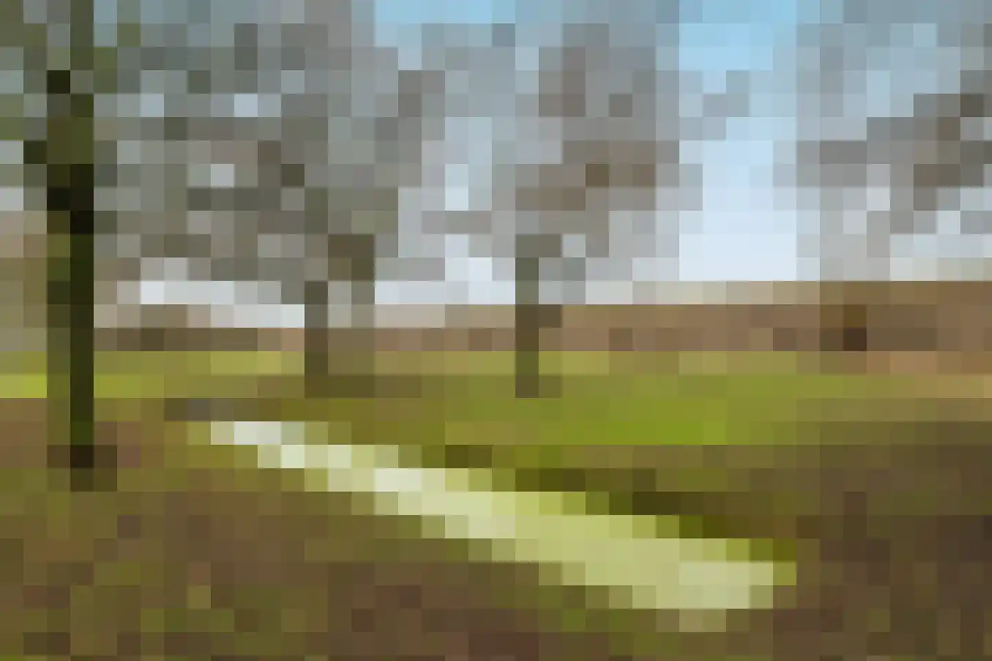 Rozemarijn 85 Wateringen thumbnail 48