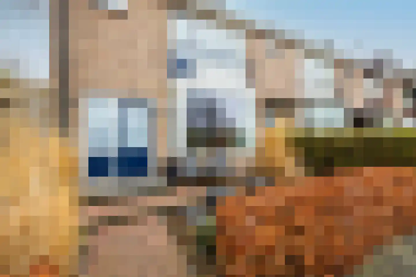 Rozemarijn 85 Wateringen thumbnail 5