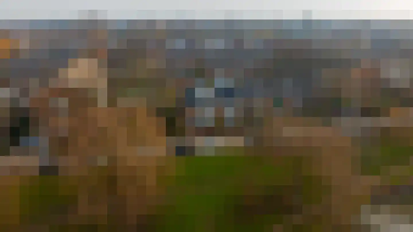 Rozemarijn 85 Wateringen thumbnail 51