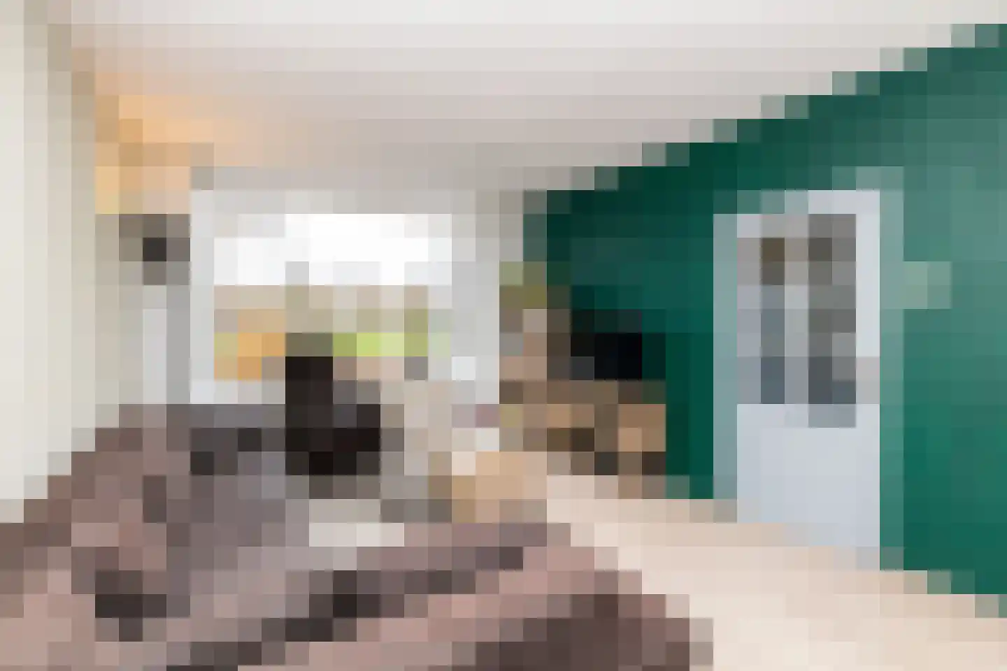 Rozemarijn 85 Wateringen thumbnail 8