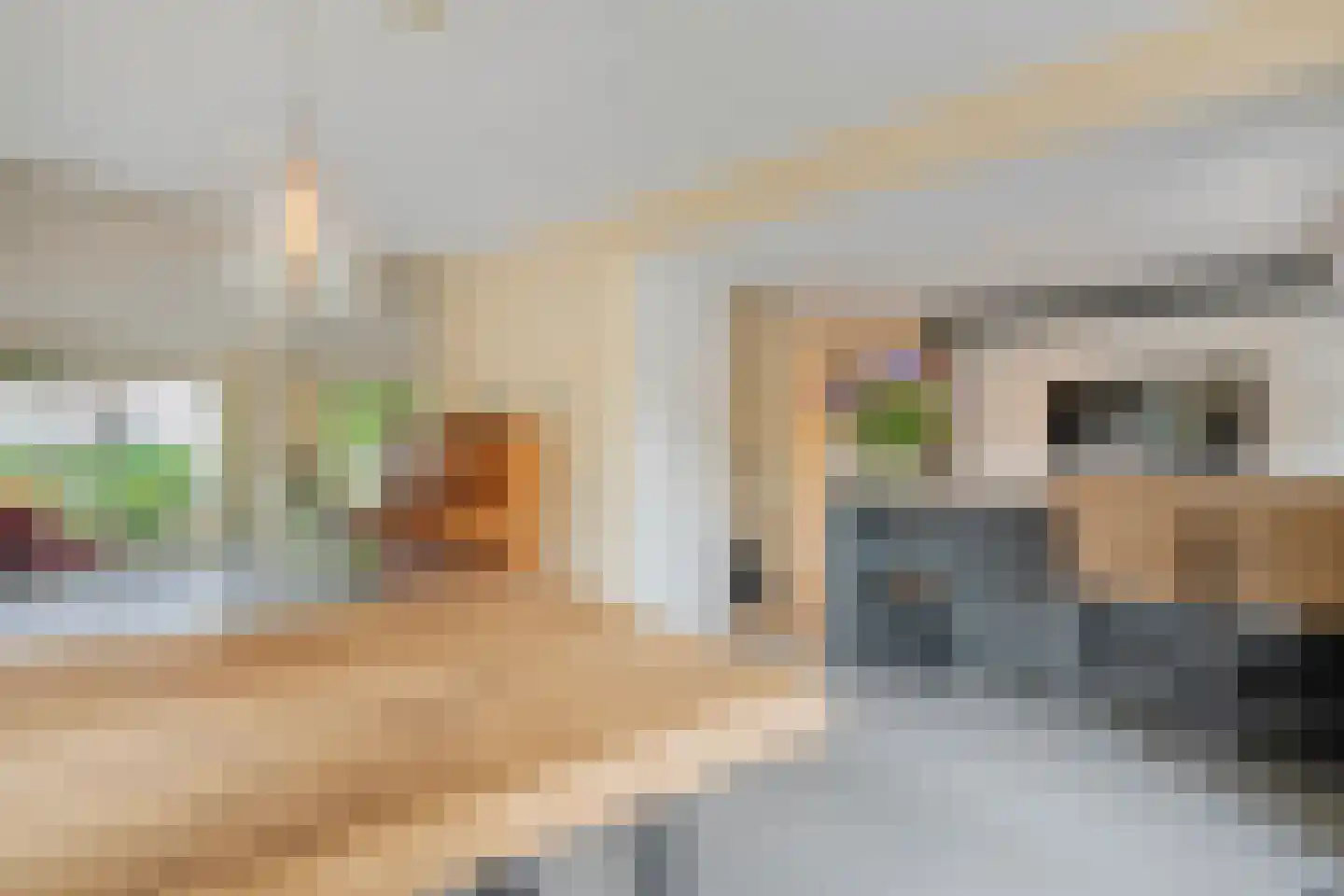 Rozemarijn 9 Raalte thumbnail 18