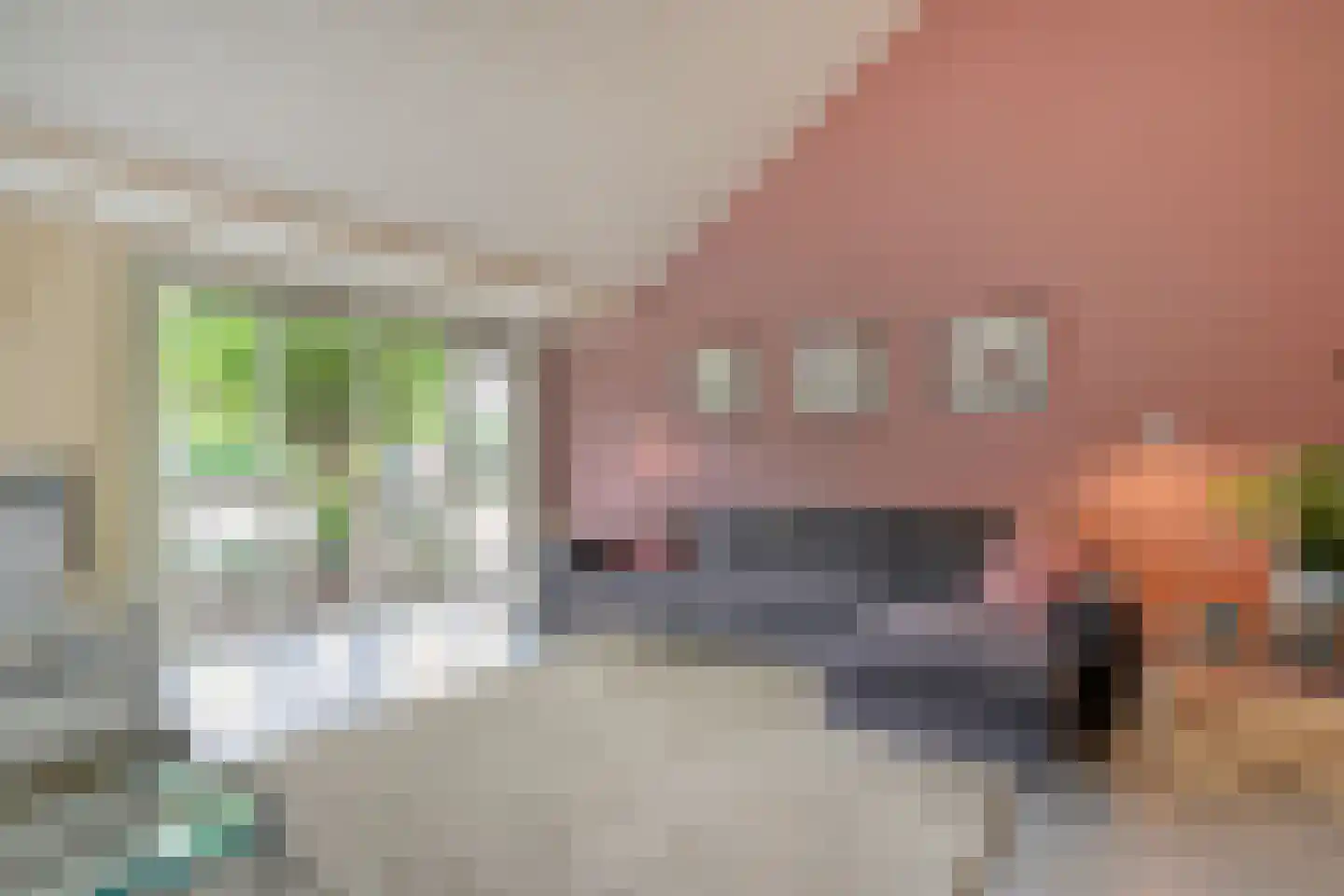 Rozemarijn 9 Raalte thumbnail 23