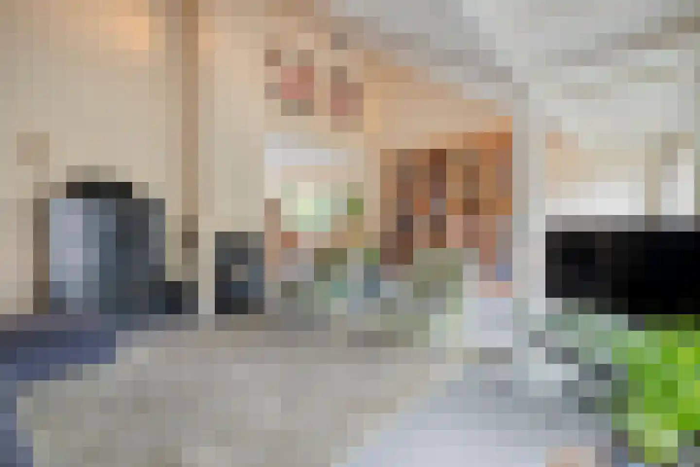 Rozemarijn 9 Raalte thumbnail 24