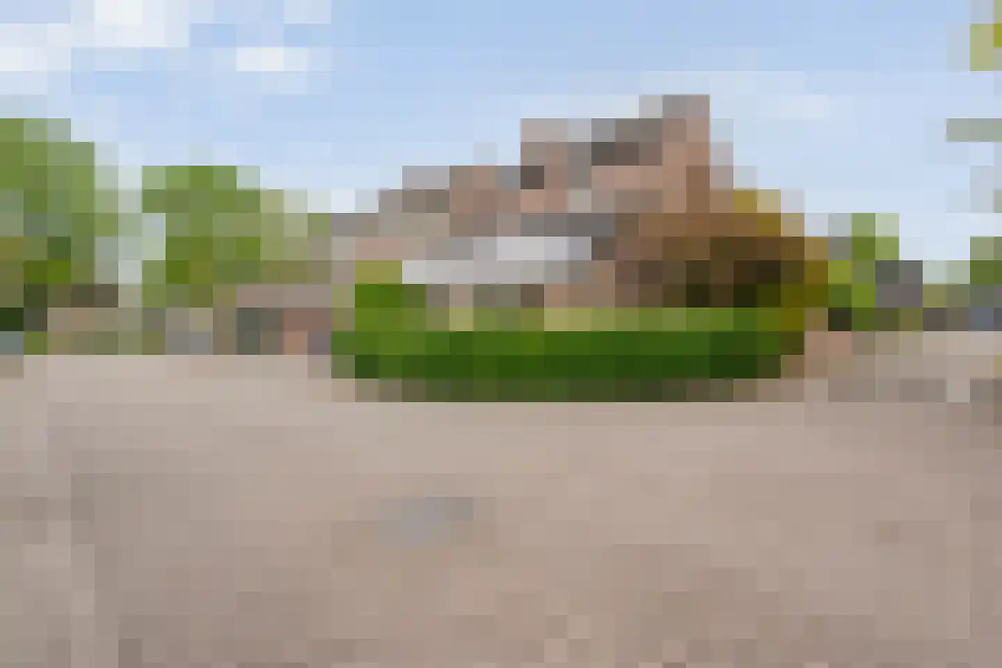 Rozemarijn 9 Raalte foto 3