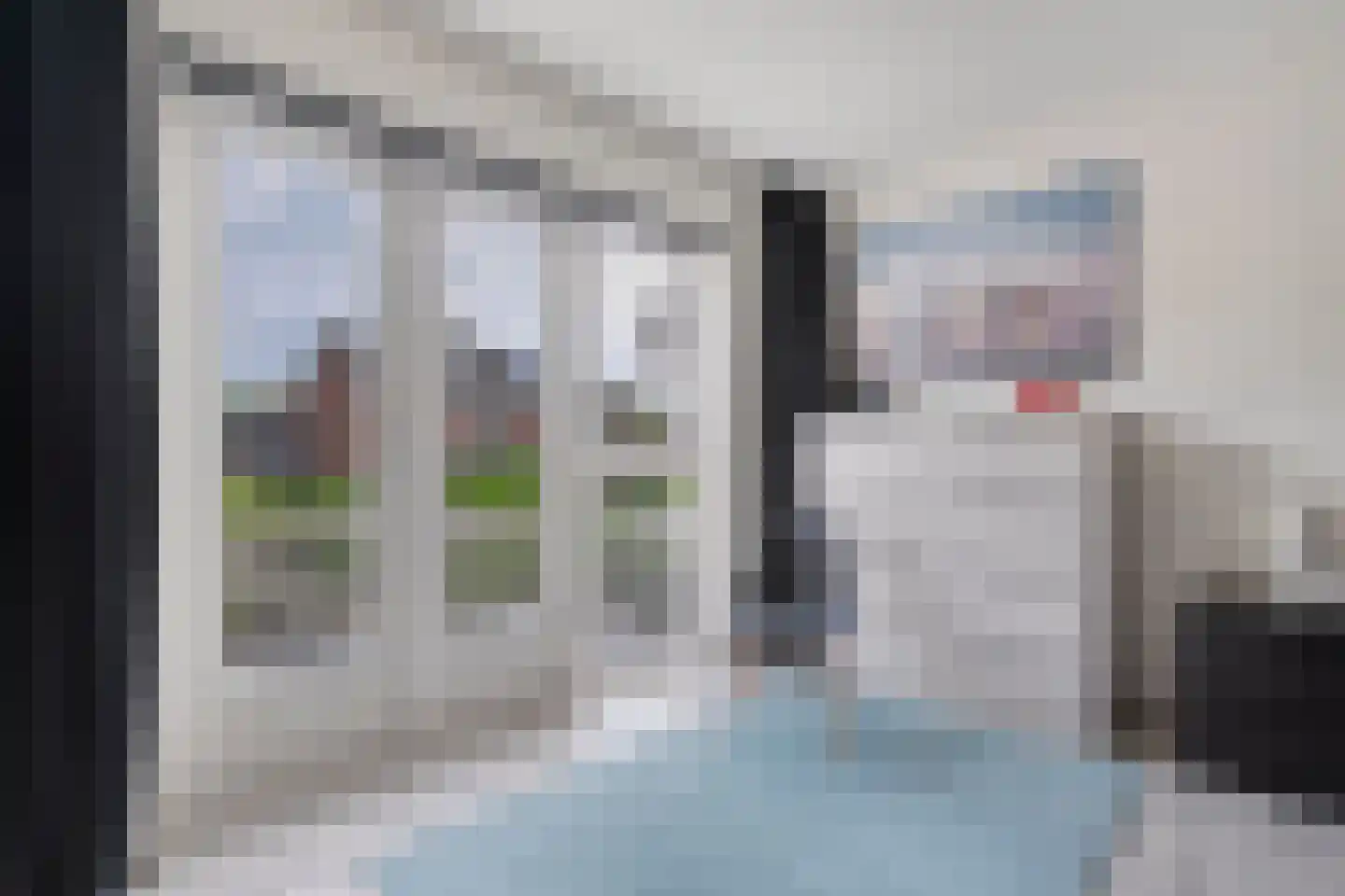 Rozemarijn 9 Raalte thumbnail 31