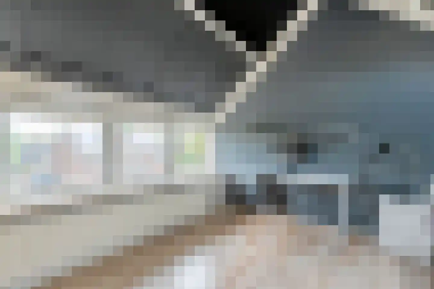 Rozemarijn 9 Raalte thumbnail 42