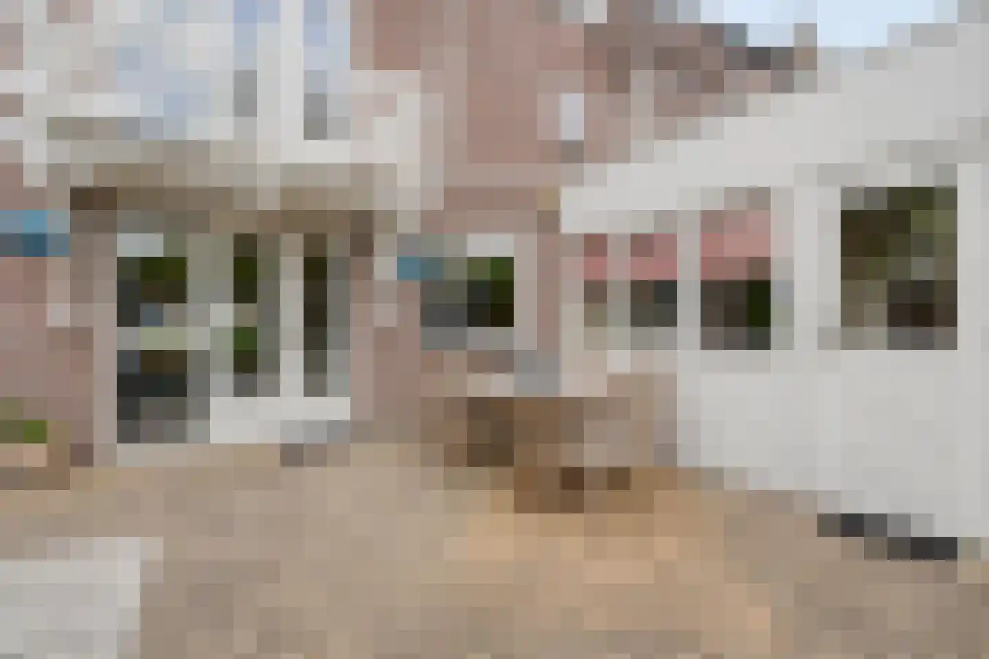 Rozemarijn 9 Raalte thumbnail 45
